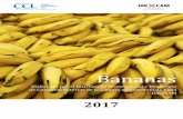 Bananas...El consumo de bananas per cápita es en promedio 28,1 Lb. Dentro del consumo de alimentos, este grupo de productos ocupa el tercer lugar, después de los lácteos y los vegetales.
