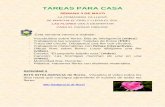 TAREAS PARA CASAcpmonzar.educa.aragon.es/sitio/userfiles/downloads... · 2020-05-03 · Bits inteligencia de flores. Actividad 2 Tenemos un pdf a continuación de las actividades.