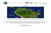 Parques Nacionales Naturales de Colombia Amazonica - 20122013 Informe Oficial Mesa de...Parques Nacionales Naturales de Colombia Implementación de los componentes claves del Plan