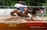 Tenemos un - caballoslosvalles.com€¦ · que agradecer a la Federación Hípica Riojana y sobre todo a su presidente, Federico, todo el trabajo que hace por el Reining y el gran