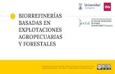 BIORREFINERÍAS BASADAS EN EXPLOTACIONES AGROPECUARIAS … · AGROPECUARIAS Y FORESTALES. ... Maderas blandas 40-44 24-29 26-33 1-5 Los componentes de la biomasa contiene mucho .