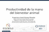Productividad de la mano del bienestar animal · Productividad de la mano del bienestar animal Francisco José Garay Pineda ... actividades intensificando la dinámica de apoyo a