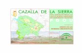 CAZALLA DE LA SIERRA - Web corporativa de Diputación de ...multimedia.dipusevilla.es/cazalla/ficheros/LOUA/2...P G O U 2 0 0 9 ADAPTACIÓN PARCIAL A LA LOUA DE LAS NNSS AYUNTAMIENTO
