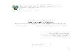 PRECIOS BAJO AGUAbiblioteca2.ucab.edu.ve/anexos/biblioteca/marc/texto/AAQ7522.pdf · Biodiversidad Marina de la zona del Golfo de Paria, la explotación racional y controlada de la