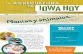 la Agricultura de 2020-05-29 · La grasa de los animales se usa en crayones, jabón y pintura. El almidón de maíz hace que el pegamento y la pintura sean espesos. Los zapatos de