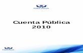 Cuenta Pública 2010 - Fiscalía de Chile · 2017-04-24 · investigación de los delitos relacionados con la pornografía infantil. Se desarrollaron, en la Región Metropolitana,