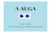 A AUGAcentros.edu.xunta.es/.../Presentacions/04_auga.pdfA molécula de auga está formada por dous átomos de H unidos a un átomo de O por medio de dous enlaces covalentes.A disposición