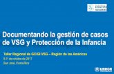 Documentando la gestión de casos de VSG y Protección de la … · 2019-07-29 · Taller Regional de GC / GI VSG / PI - ULR San José, Costa Rica - Región de las Américas • Aclarar