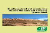 Biodiversidad del municipio de San Vicente del Raspeig (l ... · Dados los objetivos del proyecto los destinatarios y beneficiarios serían toda la población de San Vicente del Raspeig