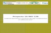 Proyecto 14-INV-128 · Proyecto 14-INV-128 “Incidencia agronómica y económica del riego complementario en cultivos de renta” Informe final Preparado por SIXTO HUGO RABERY CÁCERES