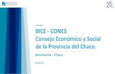 BICE - CONES Consejo Económico y Social de la Provincia ...coneschaco.org.ar/images/pdf/jornada_fin/bice.pdf · MISIONES 1,2% NEA 3.3% Distribución regional préstamos SF Stocks