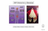 SAP: Endocrino y Obesidad · 2015-05-21 · SAP: Endocrino y Obesidad. 4 Mayo 2015. A. Parera E.Rivas A. Serrano A. Torolla L. Trillo M. Ubré