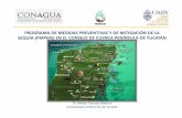PROGRAMA DE MEDIDAS PREVENTIVAS Y DE MITIGACIÓN DE LA ... · Identificar y establecer las medidas preventivas y de mitigación de la sequía en la cuenca Península de Yucatán,