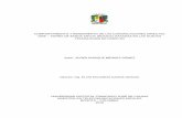 COMPORTAMIENTO Y RENDIMIENTO DE LAS COMUNICACIONES …repository.udistrital.edu.co/bitstream/11349/14501/1... · 2019-07-26 · sistema de Comunicaciones Directas Aire-Tierra de Banda