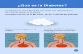 ¿Qué es la Diabetes?cch.northwestern.edu/edtools/pdf/Diabetes_Que_es_la_Diabetes.pdf · La diabetes también es hereditaria. Si alguno de sus padres o algún otro familiar tiene