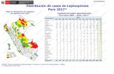 LEPTOSPIROSIS Distribución de casos de Leptospirosis Perú ... · FUENTE : Centro Nacional de Epidemiologia, Prevención y Control de Enfermedades - MINSA (*) Hasta la SE 29 del