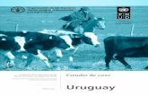 resiliencia a través de los PNA Uruguay · 2018-03-15 · de diseñar PNA sectoriales, con estrategias y programas de mediano y largo plazo, en sectores clave como el agropecuario.