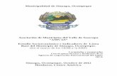 Municipalidad de Sinuapa, Ocotepeque€¦ · Denia Marilú Deras Facilitador Nubia Aguilar ... conformación de la base de datos y la preparación de los indicadores, cuadros de salida