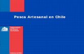 Pesca Artesanal en Chilecpps.dyndns.info/.../pesca_artesanal_chile_2013.pdf · Gobierno de Chile | Subsecretaría de Pesca y Acuicultura. 6. En cuanto a la participación de la mujer