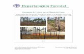 Departamento Forestal · 2011-06-24 · 00153 Roma, Italia e ... hacia la búsqueda de las acciones que permitieran tras su implantación, el fortalecimiento ... La misión fue iniciada