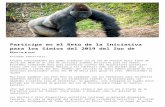 s28164.pcdn.cos28164.pcdn.co/files/Editable_Parent-Letter-Spanish.docx · Web view¡Para ayudar a animales como los gorilas en la naturaleza! Los móviles y otros dispositivos portátiles