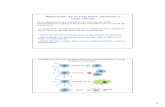 Regulación de la Expresión Genética y Ciclo celulardepa.fquim.unam.mx/amyd/archivero/UNIDAD_8_CONTROLCICLO... · 2012-11-05 · Ciclo celular La proliferación y la progresión