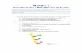 BLOQUE 1 - IES Vega del Turiacienciasnaturales.iesvegadelturia.es/.../03/maqBLOQUE-1.pdf · 2019-11-05 · BLOQUE 1 Base molecular y fisicoquímica de la vida Este banco de preguntas