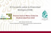 El Convenio sobre la Diversidad Biológica (CDB)4post2020bd.net/wp-content/uploads/2020/02/1CDB_HesiquioBenitez.pdf25-30 de mayo, 2020 Montreal, Canadá 3ª reunión del Grupo de Trabajo