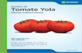 Semillas de Tomate Yola - Anasac · Envase de 5 MX (1 MX = 1.000 semillas) Presentación Planta de ciclo precoz, 90 - 100 días desde trasplante. Elevado porcentaje de calibre extra