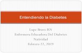Entendiendo la Diabetesmcdss.co.monterey.ca.us/aging/ihss_train/download...Diabetes en los Estados Unidos 30.1 millones . de personas tienen diabetes-9.4% de la populación 23.1 millones.