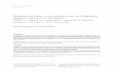 Estatuto jurídico y urbanismo en la Tingitana (siglos I ...ceipac.ub.edu/biblio/Data/A/0633.pdfPolibio de Megalópolis (s. II a.C.)14 hace alusión a la región de Metagonium y a