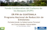Fondo Colaborativo del Carbono de los Bosques (FCPF) · • Cobertura Forestal: 3.7 millones ha = 34.2%) • Causas y actividades de deforestación: cambio de uso, agricultura, incendios