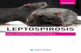 LEPTOSPIROSIS - Argentina · La leptospirosis es una enfermedad grave para la salud pública. Por eso, si obser-va alguno de los síntomas mencionados – y en los 30 días previos