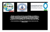 Estado y monitoreo de las comunidades arrecifalesy especies ......Estado y monitoreo de las comunidades arrecifalesy especies claves para la pesquería en el Parque Nacional Coibay