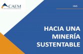 HMS - Mining Pressminingpress.com/media/briefs/hms-tsm-update-septiembre... · 2017-09-19 · La iniciativa Towards Sustainable Mining (TSM) es un Programa sobre minería responsable