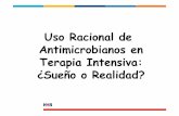 Uso Racional de Antimicrobianos en Terapia Intensiva ... · el control de uso de antimicrobianos en unidades de cuidados intensivos Mayor consumo AMB más BMR Programas control AMB