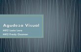 AGUDEZA VISUAL · Title: AGUDEZA VISUAL Author: admin Created Date: 8/24/2017 1:27:44 PM