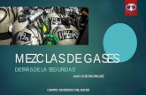 MEZCLAS DE GASES - Buceobuceo.com.ar/img/pdf/mezclas_de_ gases.pdf · los problemas de las mezclas enfermedad por descompresion. toxicidades: o. 2 – n. 2 estres termico. retencion