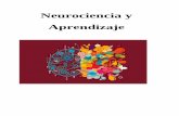 Neurociencia y Aprendizajew3sim.isparm.edu.ar/.../tecnicas/descargas/neurociencia.pdf · 2018-12-11 · La Neurociencia no sólo no debe ser considerada como una disciplina, sino