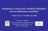 impactos e riscos do cambio climático nos ecosistemas mariñosbiblioteca.climantica.org/resources/1829/anton-alvarez.pdf · 2010-07-02 · evidencias do cambio climático por causas