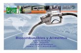Biocombustibles y Alimentos - Biodiesel · Altamente eficiente en la producción de etanol. Firme avance en el desarrollo de la cadena del biodiesel. Alta diversidad de materias primas
