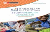 BOLETÍN PNIPA Nº4 · los pescadores y acuicultores, así como de la academia. Fue ocasión para presentar los seis subproyectos seleccionados en el marco del Concurso PNIPA 2017-2018