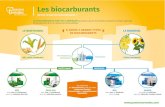 Les biocarburants - | Keepeek · 2019-03-22 · Les biocarburants Qu’est-ce que les biocarburants ? IL EXISTE 2 GRANDS TYPES DE BIOCARBURANTS Fermentation, distillation E85 Avec