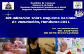 Actualización sobre esquema nacional de vacunación, Honduras … · BCG: 1 dosis Excepción VIH Hepatitis B: 3-4 dosis Primeras 24 horas Prematuros y BPN Co- administración y vacuna