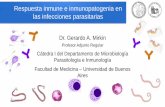 Profesor Adjunto Regular - fmed.uba.ar 13- Inmunid… · Resumen y conclusiones La compartimentación y diversidad de la respuesta inmune son requisitos para el control de las infecciones