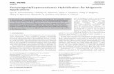 Ferromagnet/Superconductor Hybridization for Magnonic ... · Igor A. Golovchanskiy,* Nikolay N. Abramov, Vasily S. Stolyarov, Vitaly V. Bolginov, Valery V. Ryazanov, Alexander A.