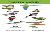 Aves carismáticas de la Sierra Gordasierragordaecotours.com/wp-content/uploads/2018/03/GUÍA... · 2018-03-19 · Aves de la Reserva de la Biosfera Sierra Gorda Querétaro - México