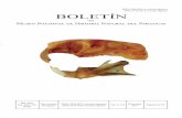 BOLETÍN 3 z BOLETÍN - FAUNA PARAGUAYDiciembre del año 2017. Publicado primero en línea el 3 de Enero de 2018. Ilustración de la portada: Cráneo de Ctenomys conoveri de río Itiyuro,