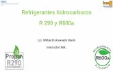 Refrigerantes hidrocarburos R 290 y R600a · Información obtenida de: “Uso de Refrigerantes hidrocarburos” A1 Introducción a la refrigeración y los refrigerantes, GIZ-HEAT