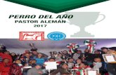 Pastor Alemán México - PERRO DEL AÑO · 2019-12-21 · PASTOR ALEMÁN 2017. E l día 20 de enero se realizó la gran fiesta de premiación a lo mejor de los ejemplares de la raza